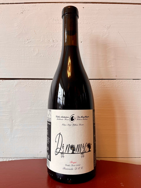 Filipa Pato, 'Dinamica' Bairrada Tinto 2023