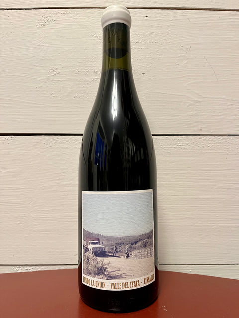 Roberto Henriquez Fundo la Union Cinsault 2021