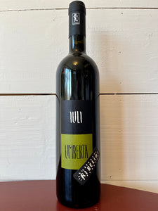 Iuli Umberta Barbera 2021