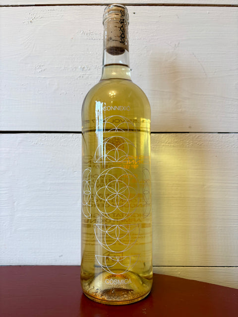 Cosmic Vinyaters, Connexió Cosmica 2024