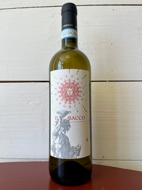 Fattoria Coroncino, Il Bacco Verdicchio 2022